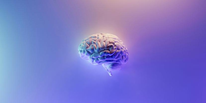 Neuroplasticity: The Brain's Ability to Adapt and Heal