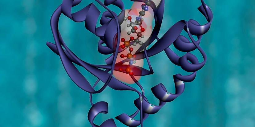 Mitochondrial Function: The Powerhouses of the Cell and Their Role in Aging