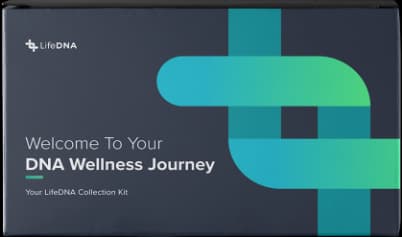 methylation-genes-report-wellness-report-bundle